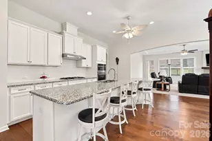 8504 Hope Run Ct, Indian Land, SC 29707 - Photo 9