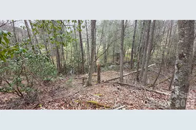 000 Nettle Knob Road, West Jefferson, NC 28694 - Photo 41
