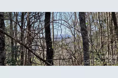 000 Nettle Knob Road, West Jefferson, NC 28694 - Photo 37