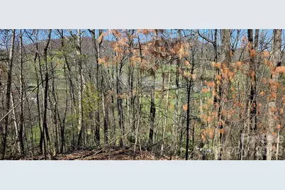 000 Nettle Knob Road, West Jefferson, NC 28694 - Photo 39