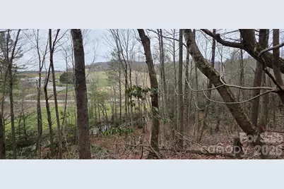 000 Nettle Knob Road, West Jefferson, NC 28694 - Photo 43