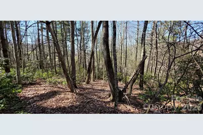 000 Nettle Knob Road, West Jefferson, NC 28694 - Photo 33