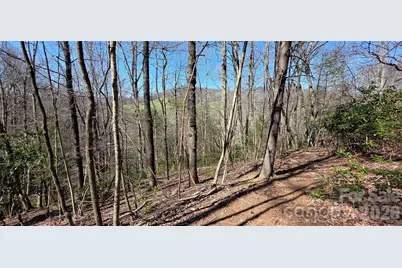 000 Nettle Knob Road, West Jefferson, NC 28694 - Photo 35