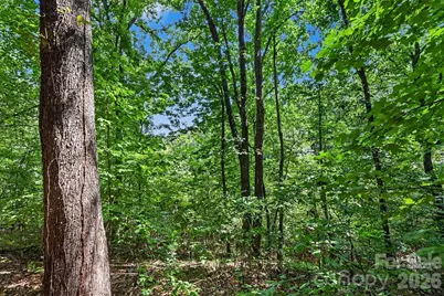 8876 Tallow Tree Road, Connelly Springs, NC 28612 - Photo 37