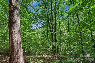 8876 Tallow Tree Rd, Connelly Springs, NC 28612 - Photo 37