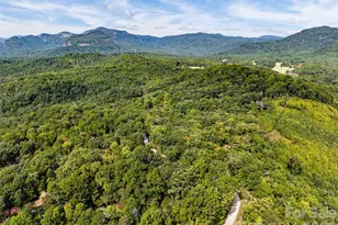 368 Starling Rd, Lake Lure, NC 28746 - Photo 39