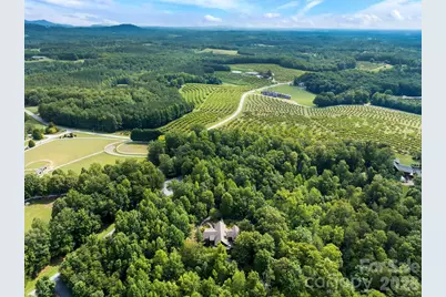4 Landy Lane, Landrum, SC 29356 - Photo 37