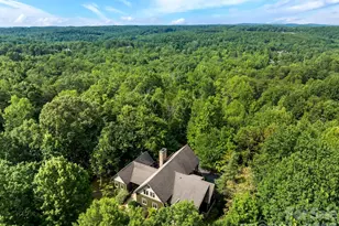 4 Landy Ln, Landrum, SC 29356 - Photo 35