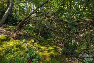 258 Old Homestead Road, Hendersonville, NC 28739 - Photo 41