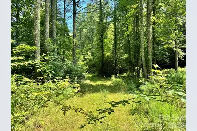 361 Rooster Cove, Brevard, NC 28712 - Photo 9