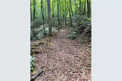 361 Rooster Cove, Brevard, NC 28712 - Photo 17