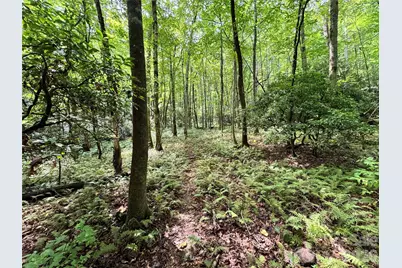 361 Rooster Cove, Brevard, NC 28712 - Photo 15