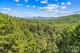 77 Dunn Trl, Nebo, NC 28761 - Photo 29