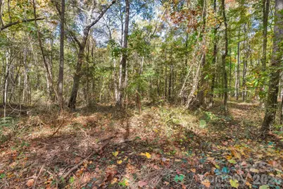 00 Charleston Court #9, Indian Land, SC 29707 - Photo 13