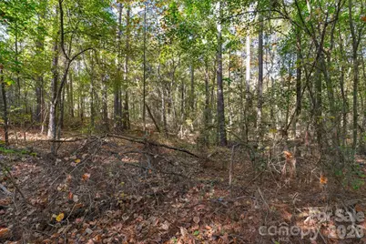 00 Charleston Court #9, Indian Land, SC 29707 - Photo 11