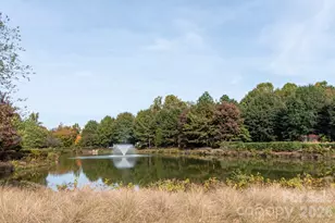 246 Harbour Pl Dr, Davidson, NC 28036 - Photo 23
