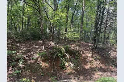 Lot 35 Roundabout Road, Lake Lure, NC 28746 - Photo 3