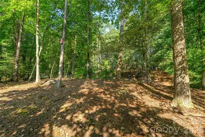106 Turner Lane, Hendersonville, NC 28791 - Photo 31