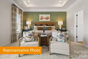 4232 Ruth Crk Ct, Charlotte, NC 28216 - Photo 13