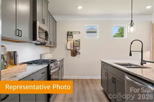 4232 Ruth Crk Ct, Charlotte, NC 28216 - Photo 7