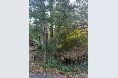 99999 Reese Street, Woodfin, NC 28804 - Photo 1