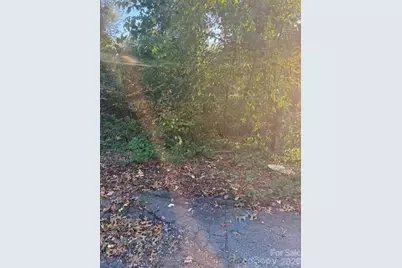 99999 Reese Street, Woodfin, NC 28804 - Photo 3