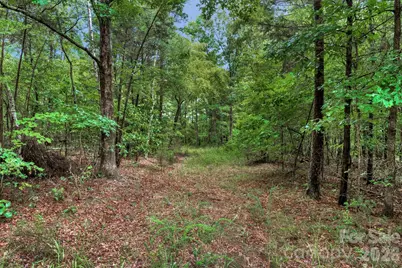 00 Mountain Road, Cleveland, NC 27013 - Photo 17