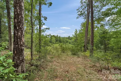 00 Mountain Road, Cleveland, NC 27013 - Photo 19