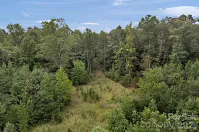 00 Mountain Road, Cleveland, NC 27013 - Photo 5