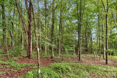 00 Mountain Road, Cleveland, NC 27013 - Photo 13