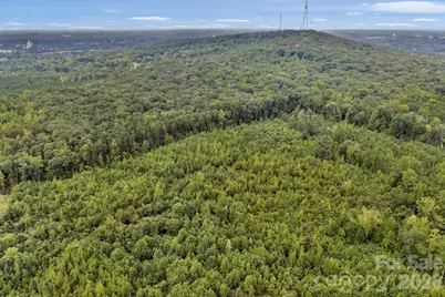 00 Mountain Road, Cleveland, NC 27013 - Photo 3