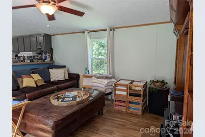 29 Herschel King Drive, Candler, NC 28715 - Photo 5