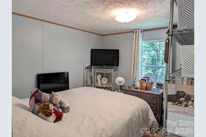 29 Herschel King Drive, Candler, NC 28715 - Photo 11