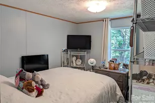 29 Herschel King Dr, Candler, NC 28715 - Photo 11