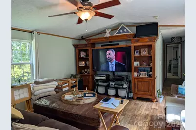 29 Herschel King Drive, Candler, NC 28715 - Photo 3