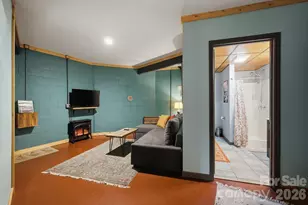 425 Bob Barnwell Rd, Asheville, NC 28803 - Photo 45