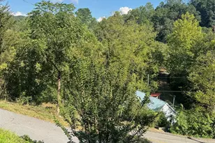 49 Ramsey Rd, Marshall, NC 28753 - Photo 5