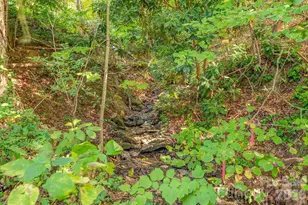 5 Brook Terrace, Asheville, NC 28805 - Photo 41