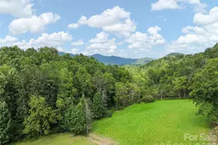 174B Marina Cove, Waynesville, NC 28785 - Photo 37