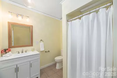 223 Davidson Road, Swannanoa, NC 28778 - Photo 21