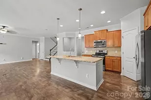 12826 Rusty Blackbird Wy, Charlotte, NC 28278 - Photo 15