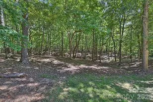 7501 Big Buck Trail, Waxhaw, NC 28173 - Photo 47