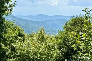 459 Lookout Dr, Mars Hill, NC 28754 - Photo 3