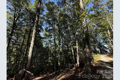 9999 Elk Ridge Drive #Parcel B, Asheville, NC 28804 - Photo 17
