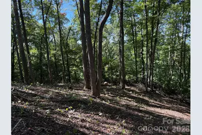9999 Elk Ridge Drive #Parcel B, Asheville, NC 28804 - Photo 11