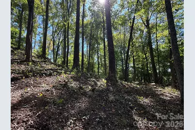 9999 Elk Ridge Drive #Parcel B, Asheville, NC 28804 - Photo 5