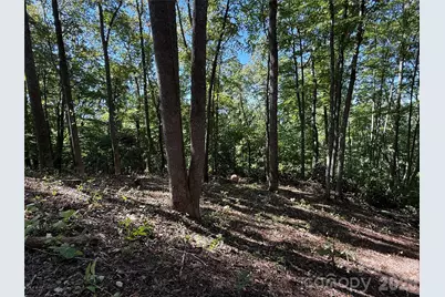 9999 Elk Ridge Drive #Parcel B, Asheville, NC 28804 - Photo 9