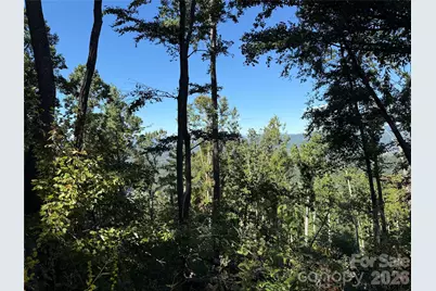 9999 Elk Ridge Drive #Parcel B, Asheville, NC 28804 - Photo 3