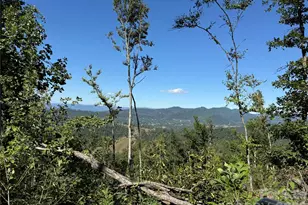 9999 Elk Ridge Dr, Asheville, NC 28804 - Photo 1