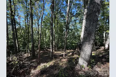 9999 Elk Ridge Drive #Parcel B, Asheville, NC 28804 - Photo 19